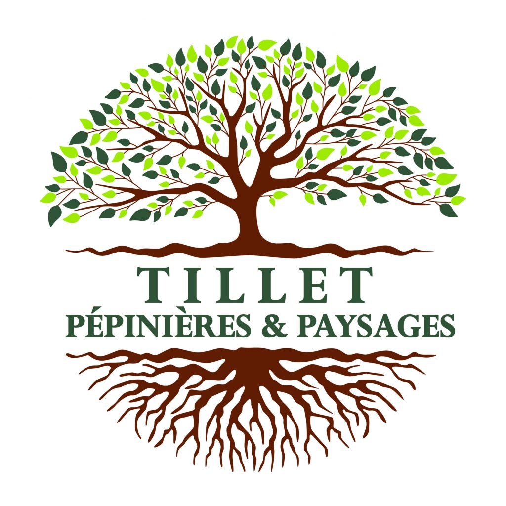 Logo tillet pepipniere et paysage - coadsdigital.fr